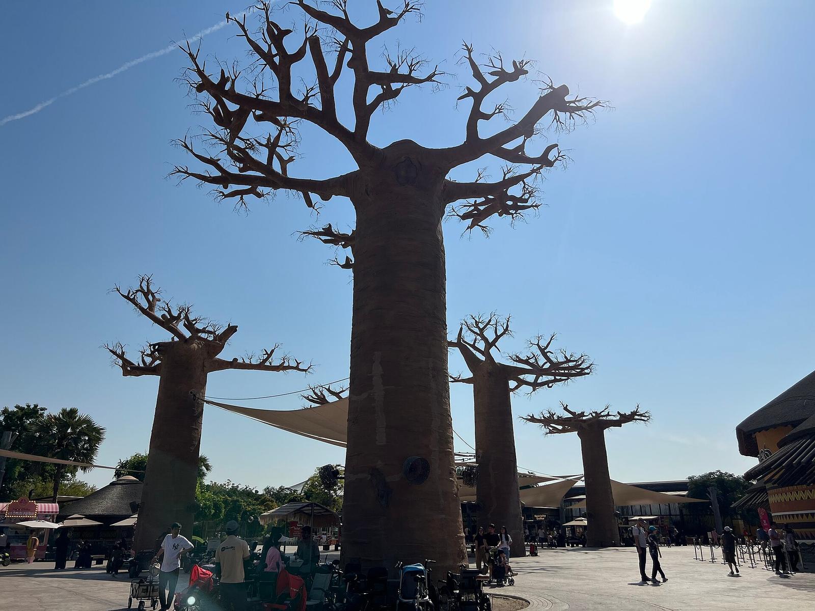 Picture from Dubai Safari Park
