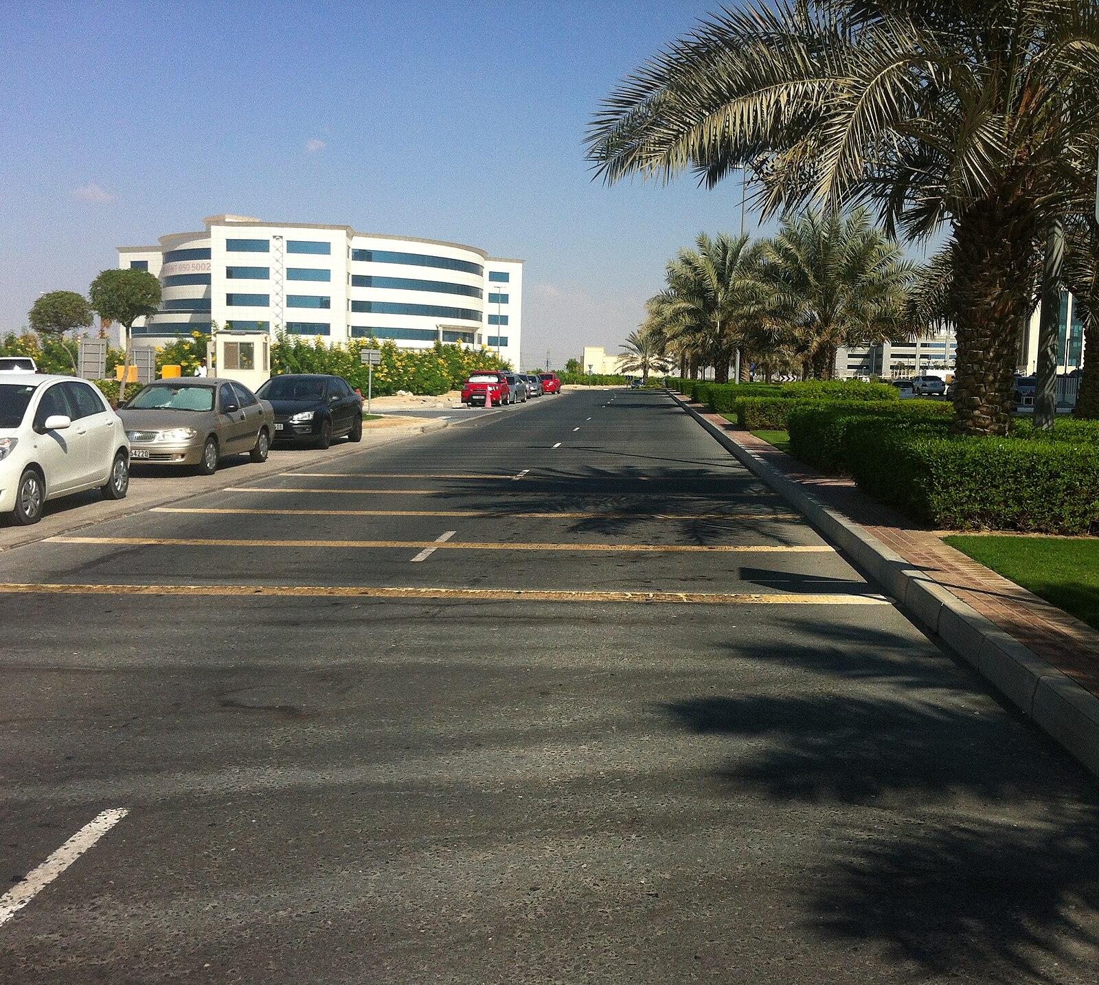 Academic City Dubai United Arab Emirates panoramio (2)