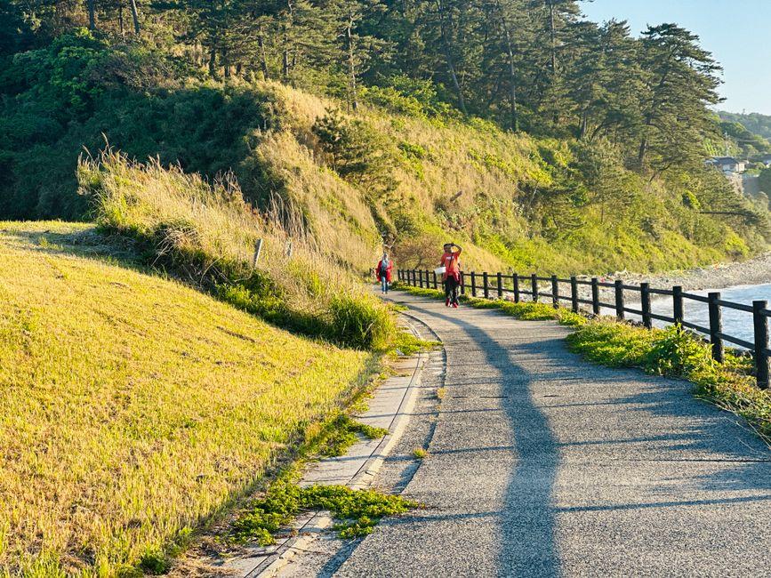 Scenic Coastal Path with People Walking