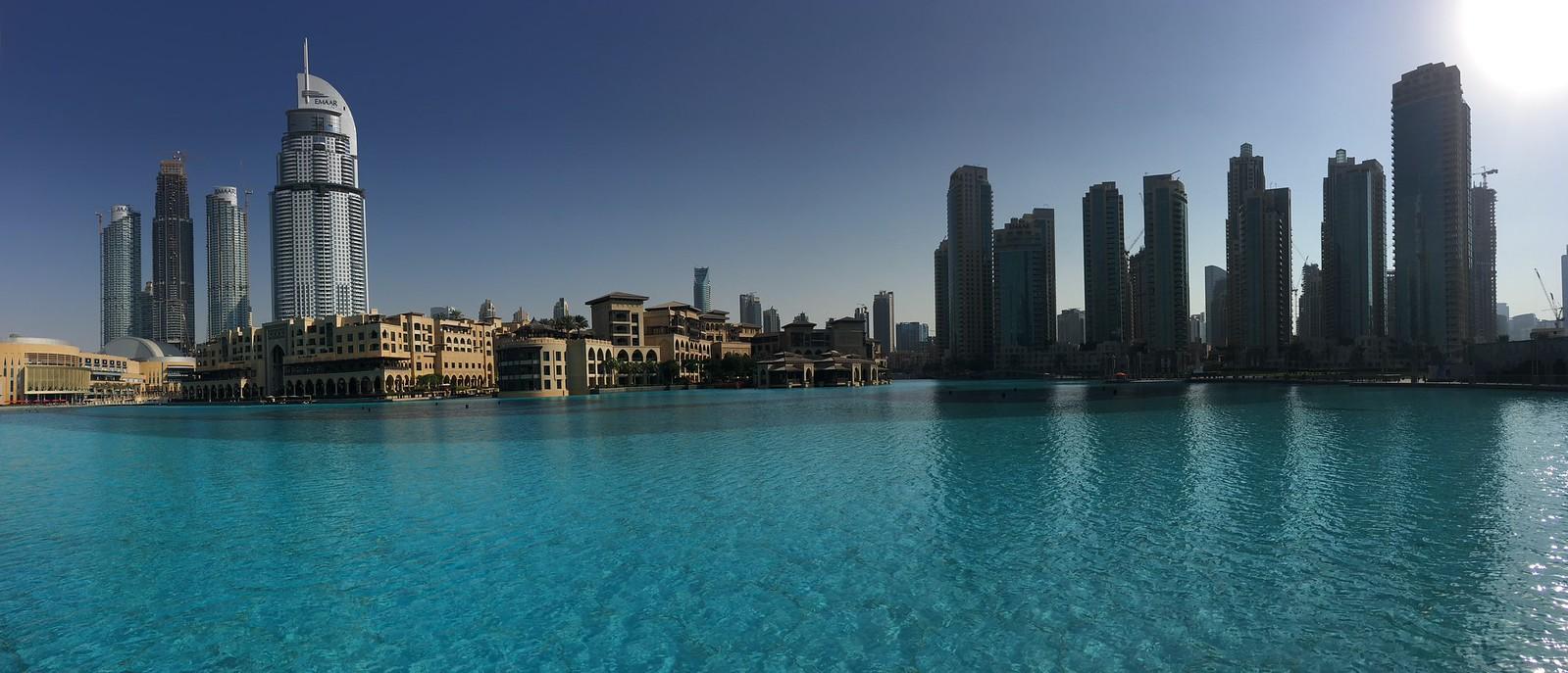 Downtown Dubai Parks Combine Dog Walks With Group Fitness Classes