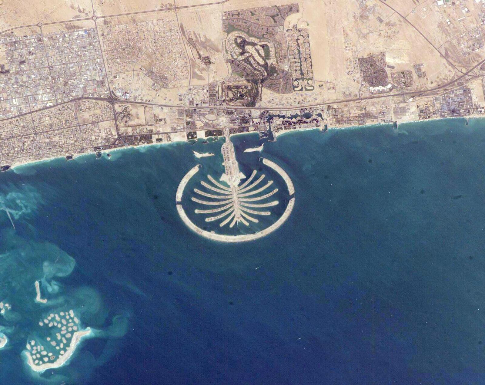 The World and The Palm
