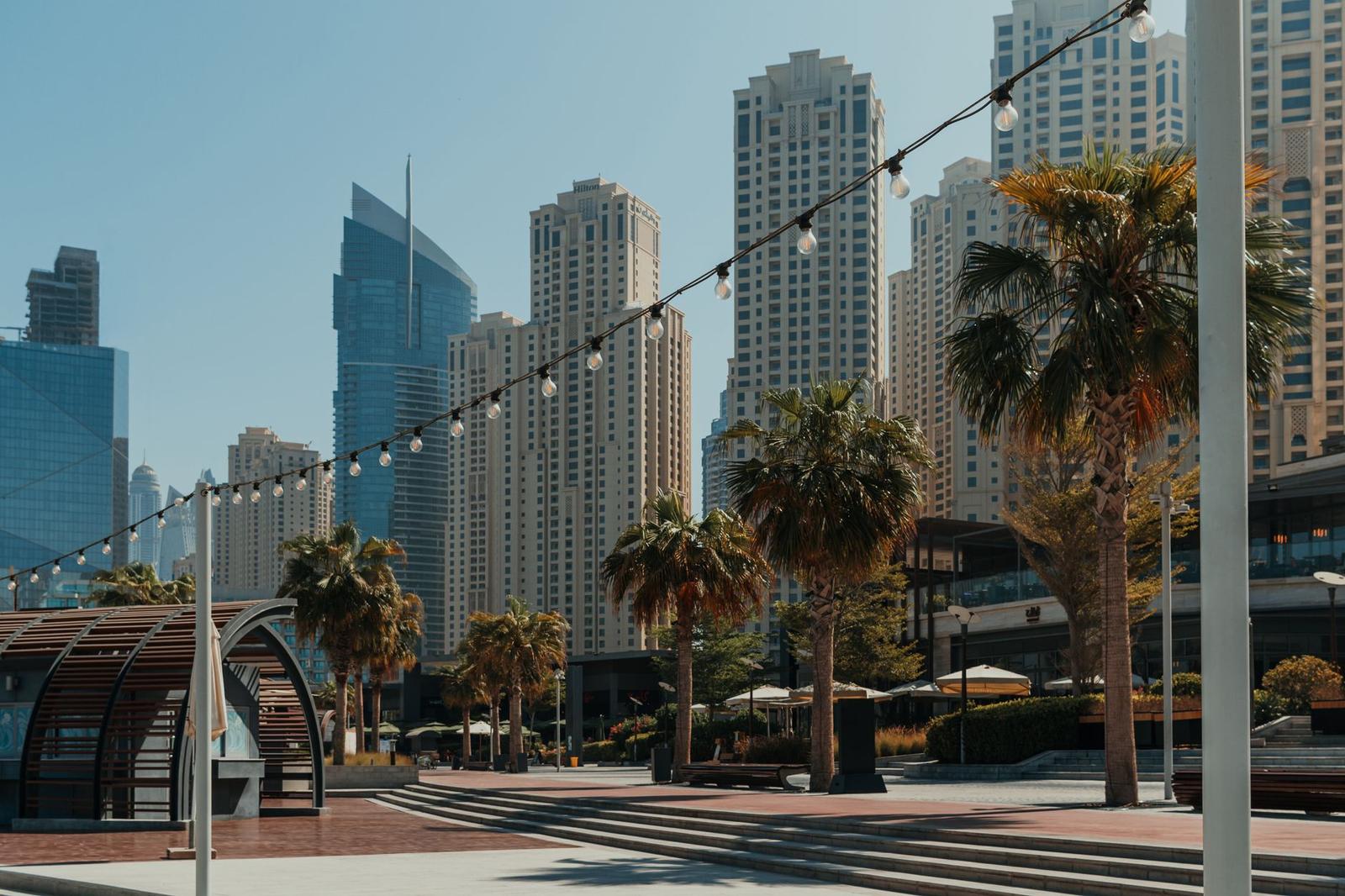 Urban Outdoor Park with Palm Trees and High Rise Buildings Decorated with String Lights