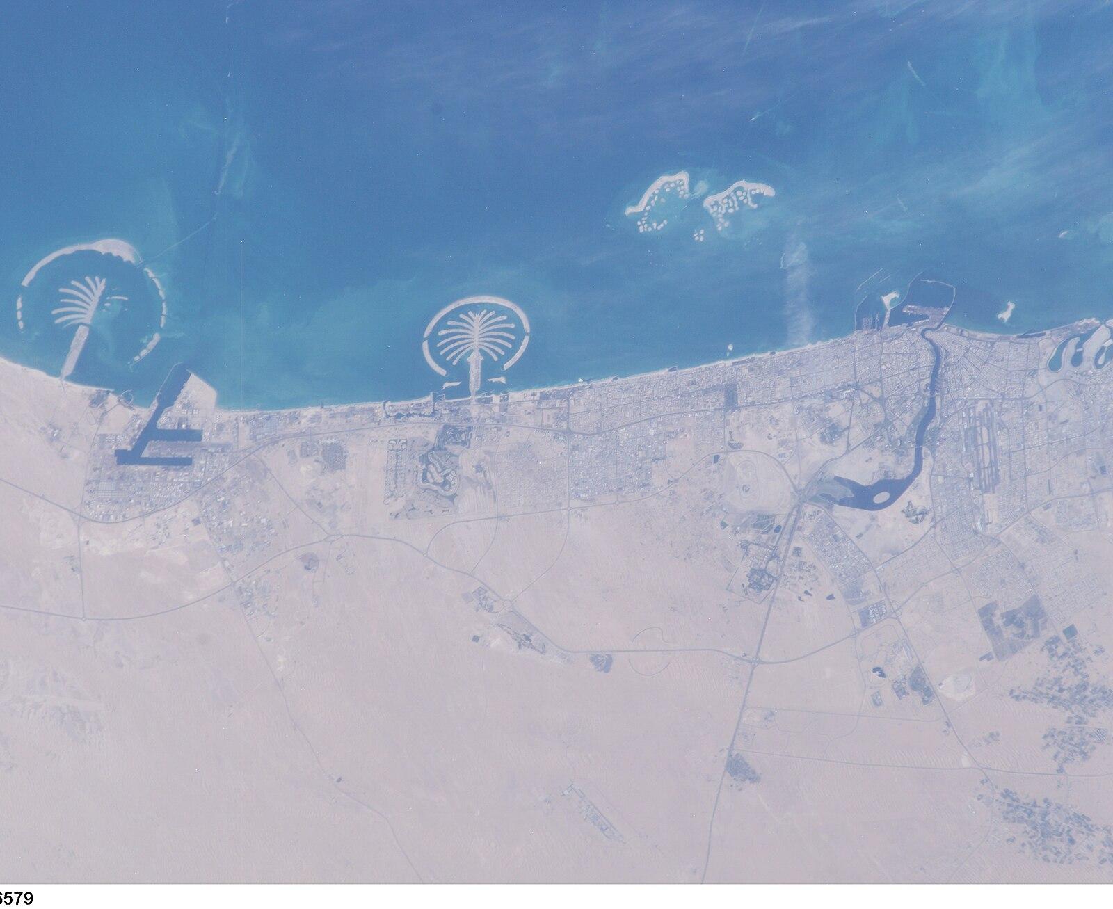 ISS010 E 16579 View of United Arab Emirates